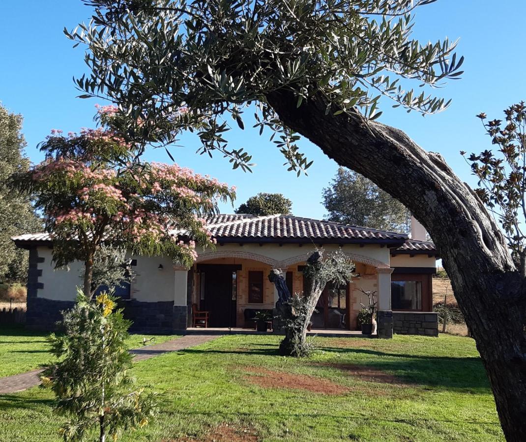 Hotel Rural - La Osa Mayor - 4 Estrellas Villasrubias Zewnętrze zdjęcie